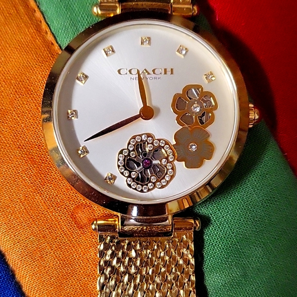 Coach Watch